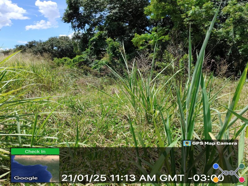 Lote, Consultar, Jardim Santa Rita de Cássia