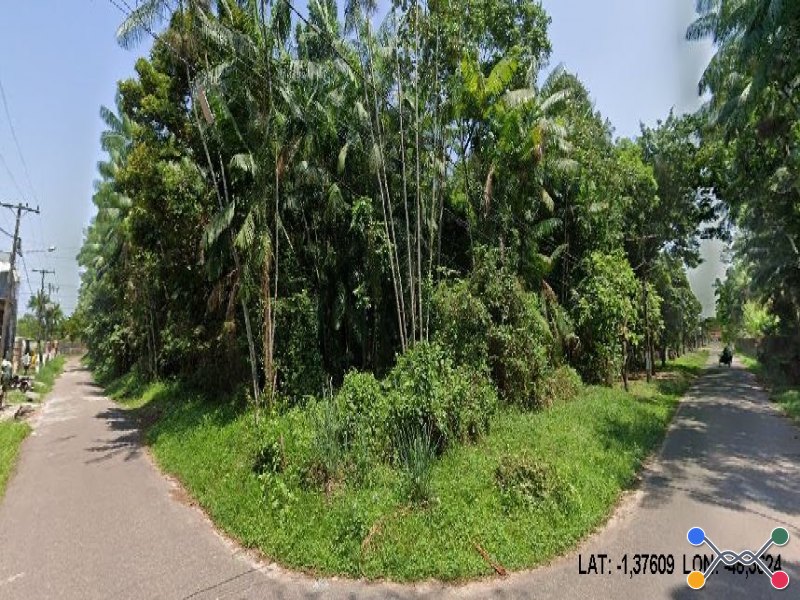 Lote, Consultar, São João