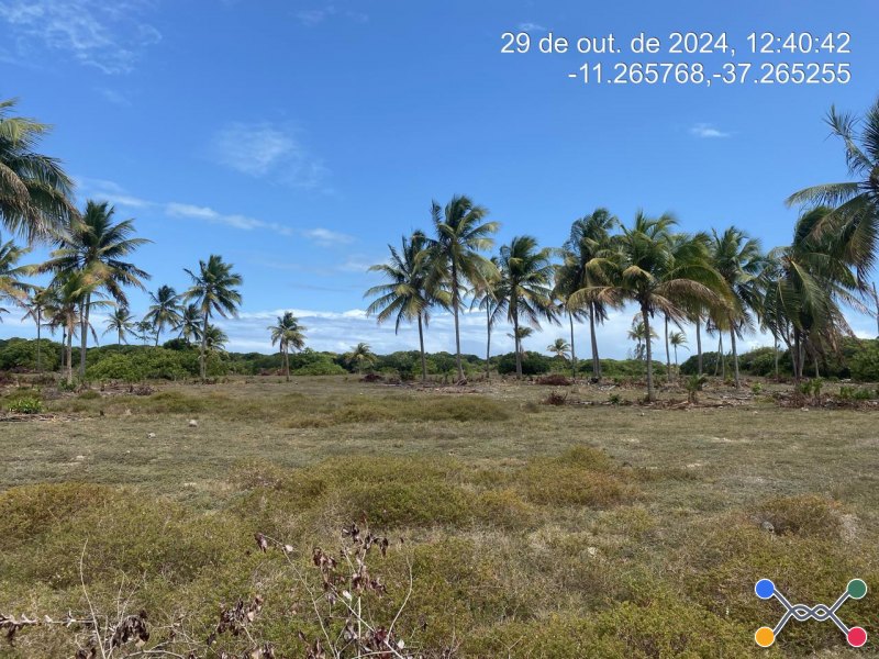 Lote, Consultar, Loteamento Vila Rica do Abais