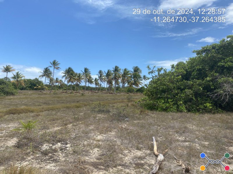 Lote, Consultar, Loteamento Vila Rica do Abais