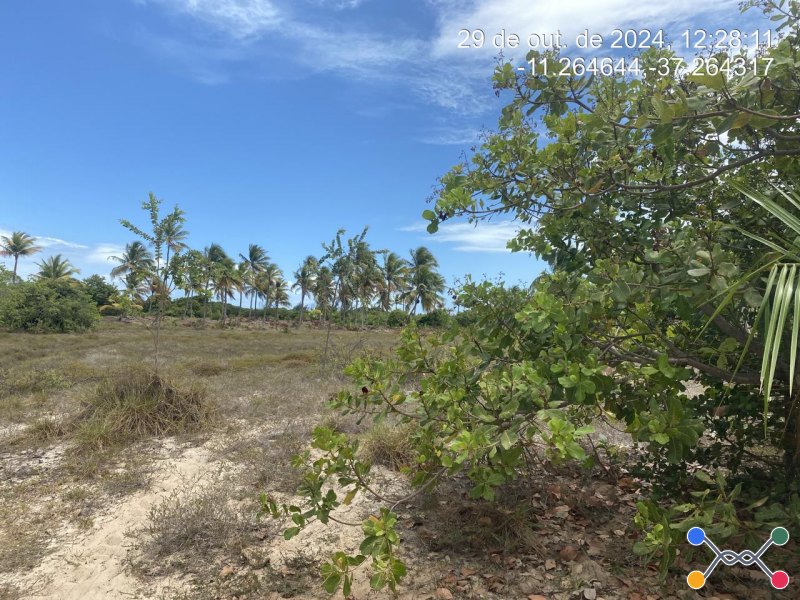 Lote, Consultar, Loteamento Vila Rica do Abais