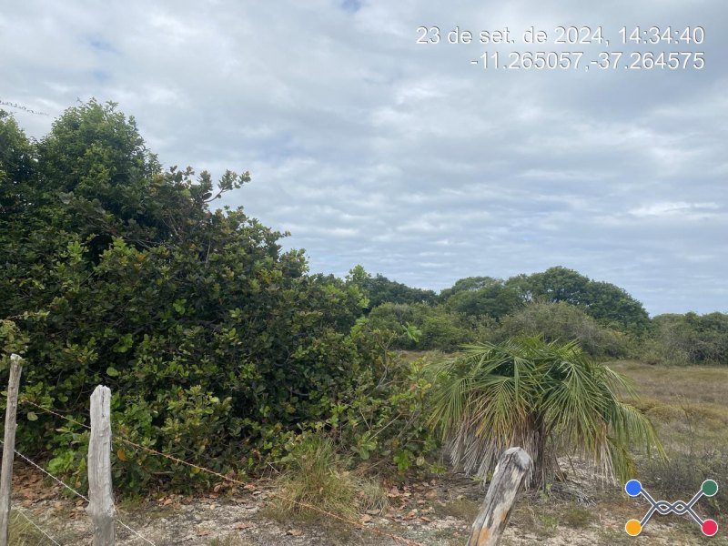 Lote, Consultar, Loteamento Vila Rica do Abais