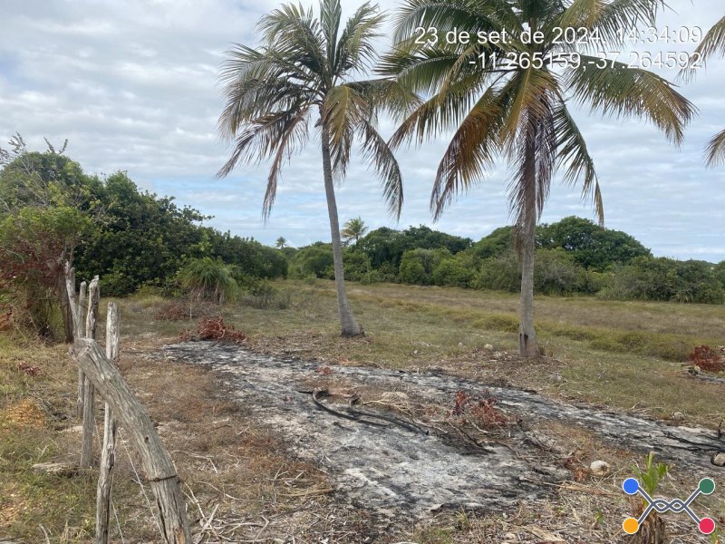 Lote, Consultar, Loteamento Vila Rica do Abais