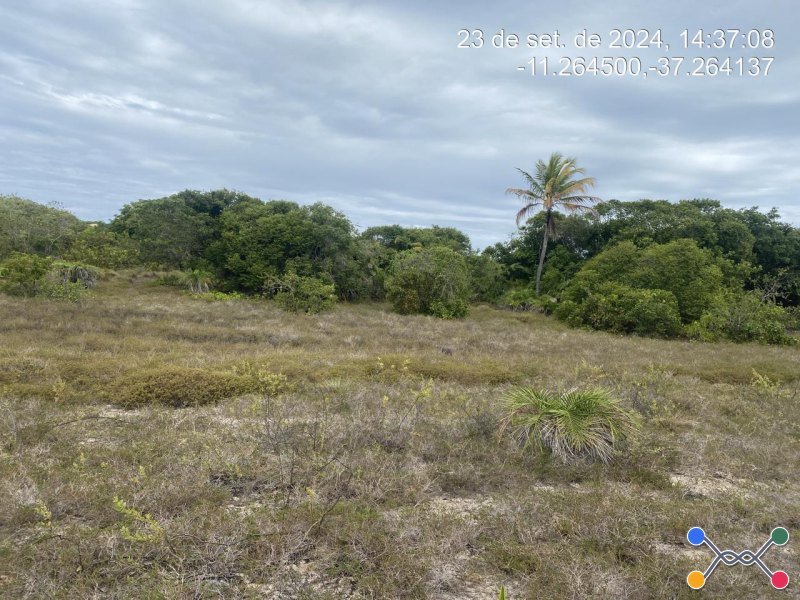 Lote, Consultar, Loteamento Vila Rica do Abais