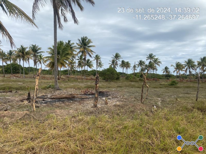 Lote, Consultar, Loteamento Vila Rica do Abais