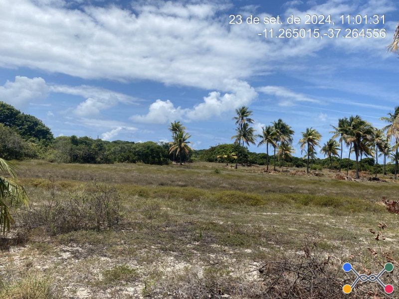 Lote, Consultar, Loteamento Vila Rica do Abais