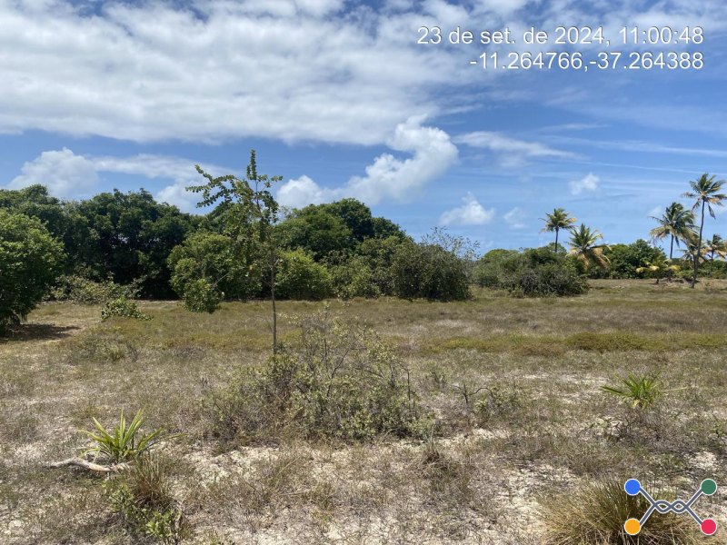 Lote, Consultar, Loteamento Vila Rica do Abais
