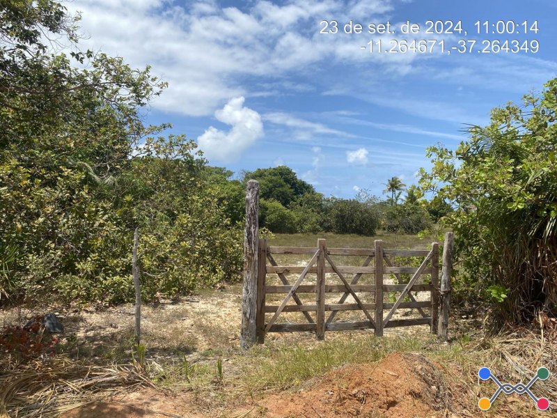 Lote, Consultar, Loteamento Vila Rica do Abais