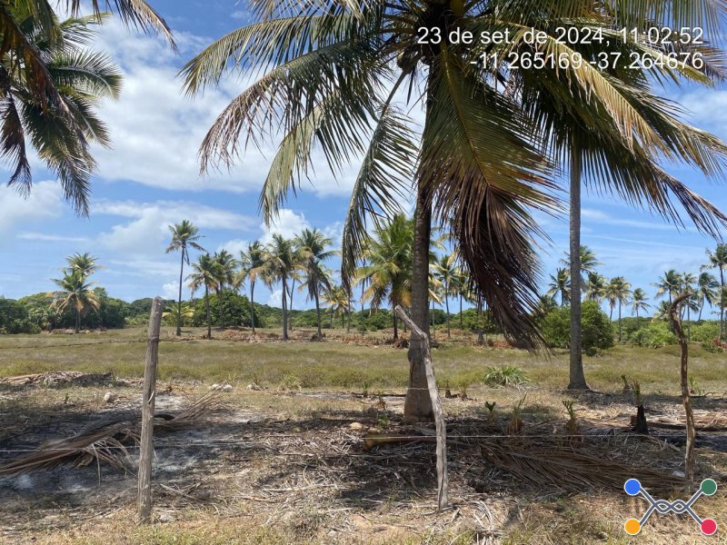 Lote, Consultar, Loteamento Vila Rica do Abais