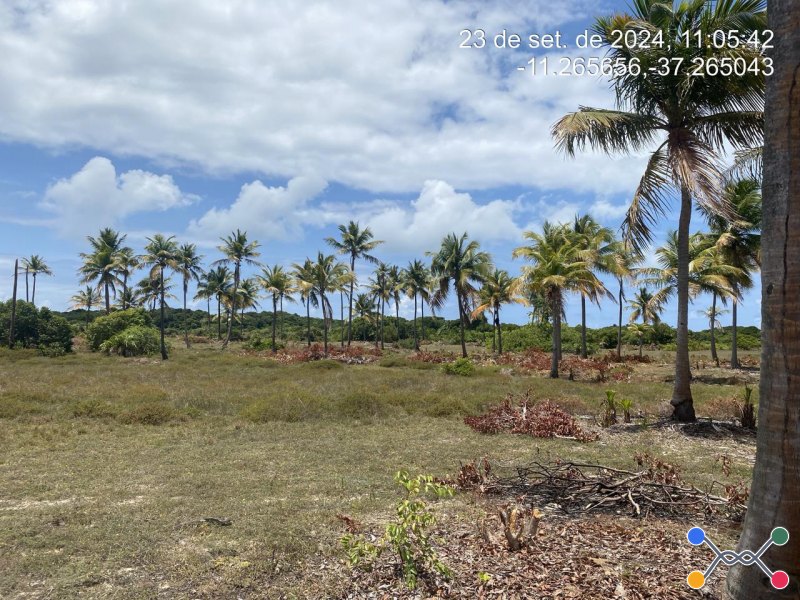 Lote, Consultar, Loteamento Vila Rica do Abais