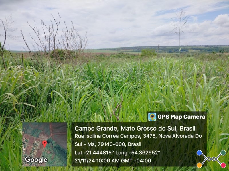 Lote, Consultar, Maria de Lourdes Marson Expansão III