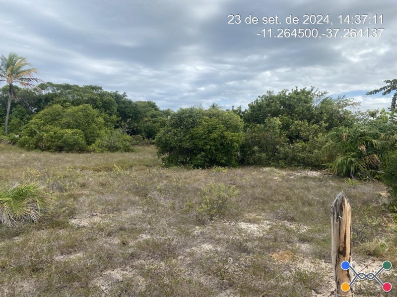 Lote, Consultar, Loteamento Vila Rica do Abais
