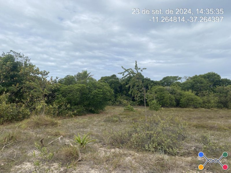 Lote, Consultar, Loteamento Vila Rica do Abais