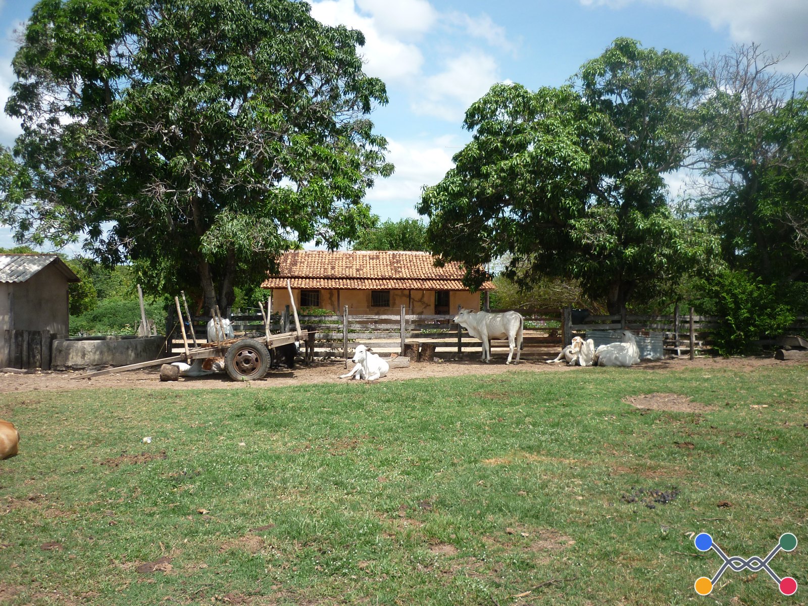 Fazenda, Rural, Zona Rural