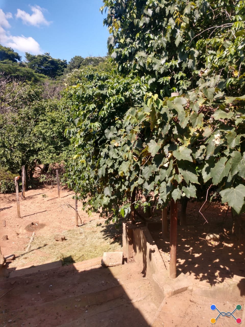 Casa, Comercial, Santa Rosa, 3 vaga(s) de garagem
