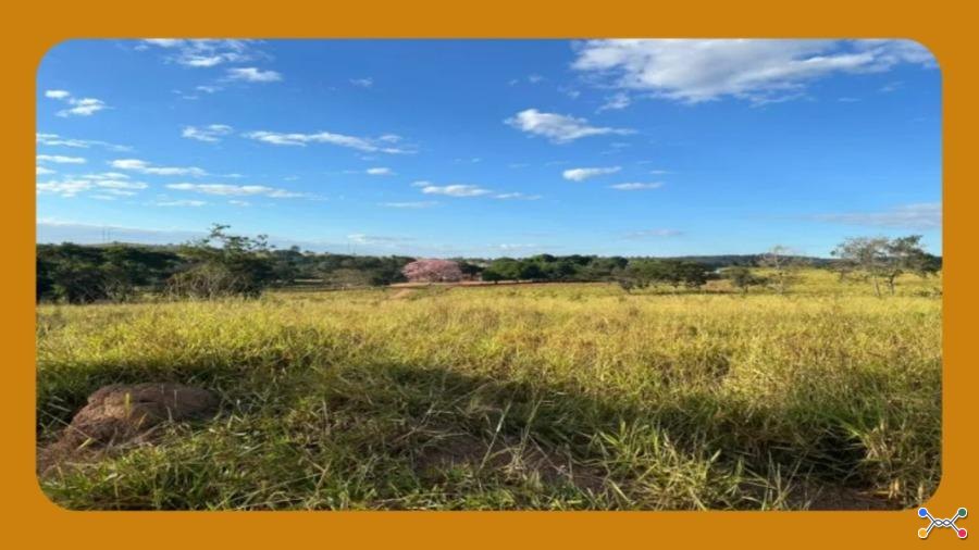 GLEBAS DE TERRAS DE CAMPO SEM BENFEITORIAS, DENOMINADO "FAZENDA BARREIRINHO", SACRAMENTO/MG, COM ÁREA DE 00,12,30HA OU 1.230,00M2.__