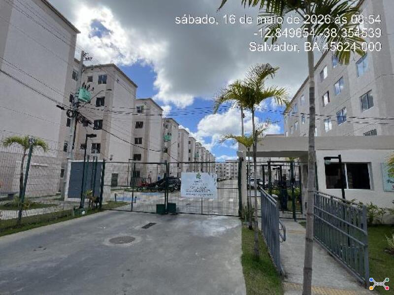 Lote 024