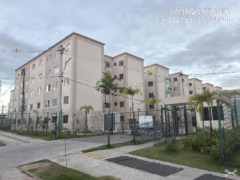 Lote 025