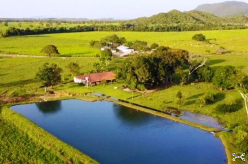 1 TERRENO RURAL COM ÁREA DE 56.086,60M²