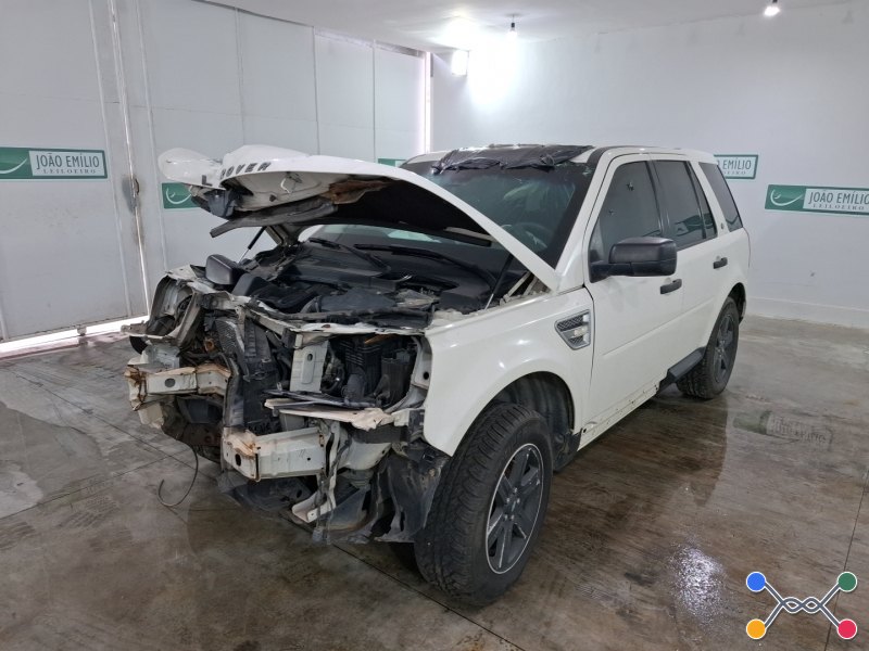 Lote 308