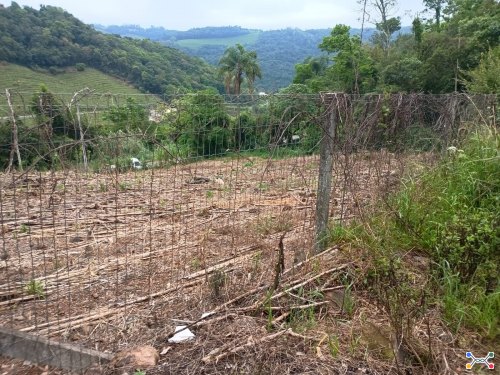 LOTE 2: UMA ÁREA DE TERRAS URBANAS COM 1.633,80 M², EM CAMINHOS DA EULÁLIA, BENTO GONÇALVES ...