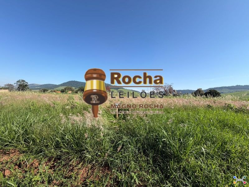 Lote 45
