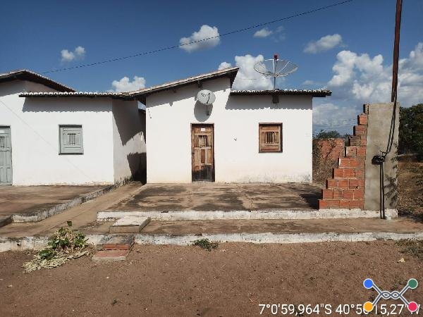 Lot dona augusta