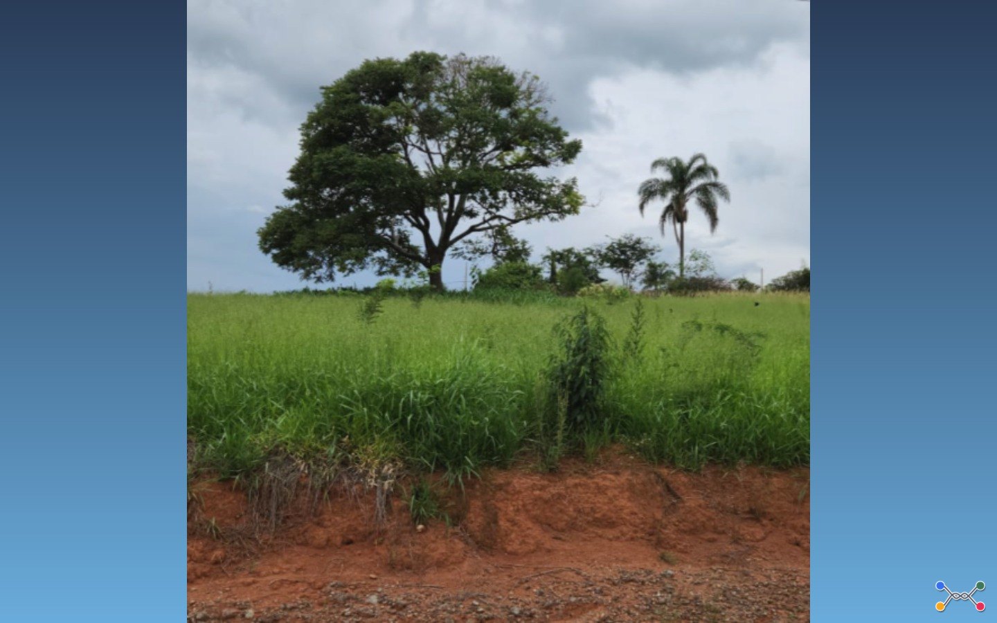 Terreno 1.000m² — Carmópolis de Minas/MGDescriçãoLOTE 07, DA QUADRA 04, COM A ÁREA DE 1.000,00M² (UM MIL METROS QUADRADOS), SITUADO NA ALAMEDA DO JACARANDÁ, NO LOTEAMENTO RESIDENCIAL ECOLÓGICO CAMPO D