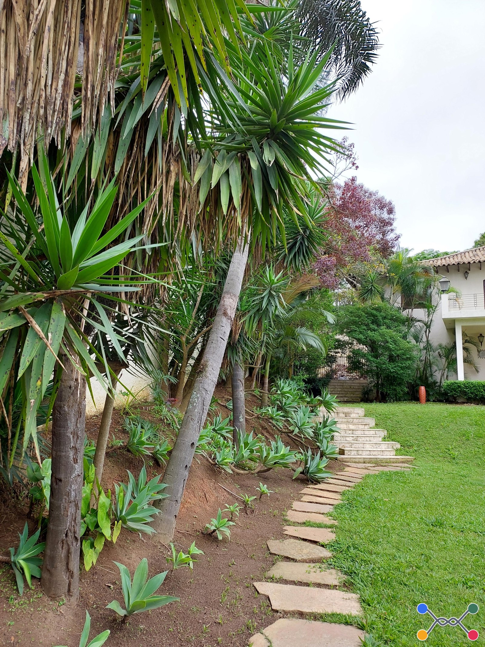 Terreno 836m² | Jardim Leonor/Morumbi | Raridade e Escassez de Área na Região do Morumbi em São Paulo. Oportunidade!
