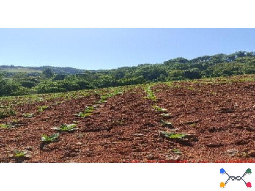 Leilão Imóvel rural · Zona Rural Estrada Municipal S/Nº - Fazenda (Lote Colonial Nº 19 da Gleba 07)