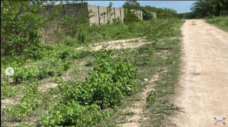 Lote 15332