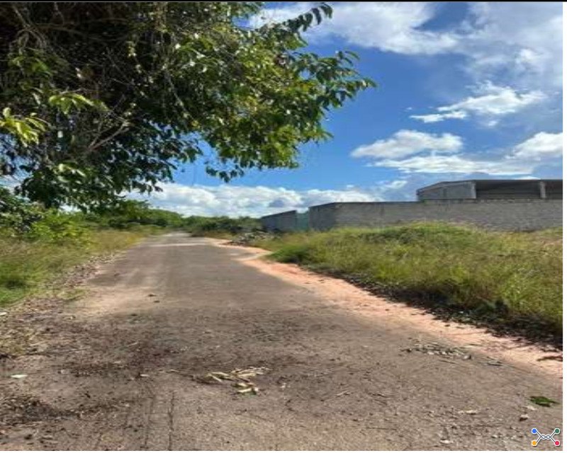 Lote 001