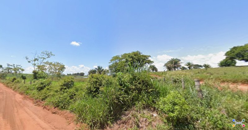 Lote 117