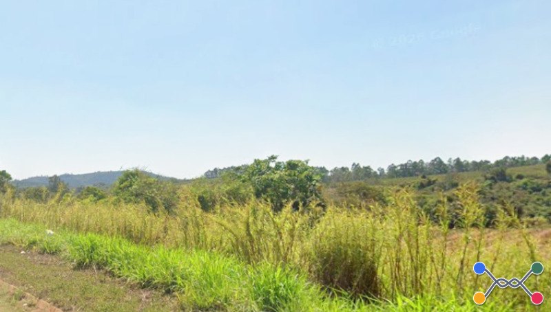 Lote 119