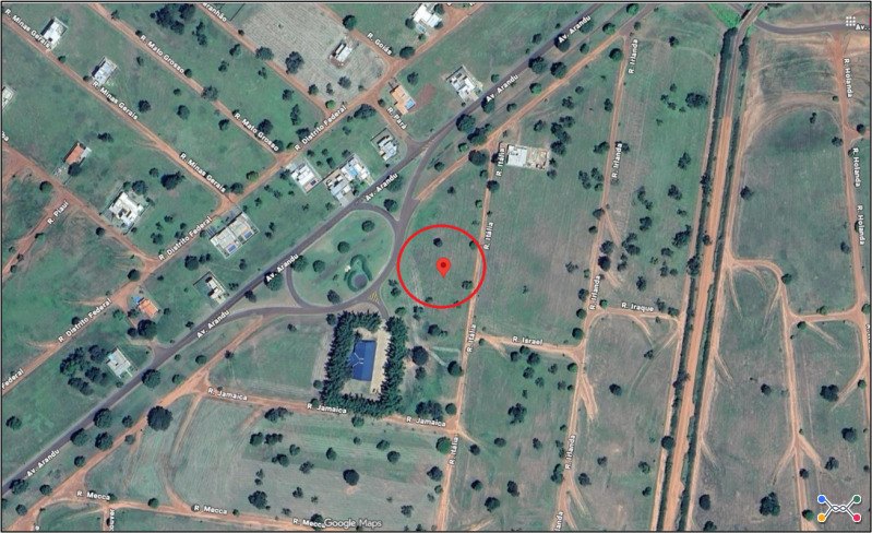 Lote 001
