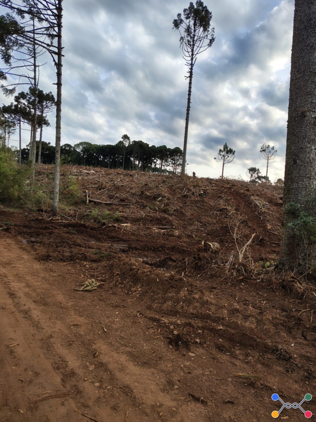 ÁREA RURAL COM A SUPERFÍCIE DE 12 HECTARES “SÍTIO DO HERVAL”