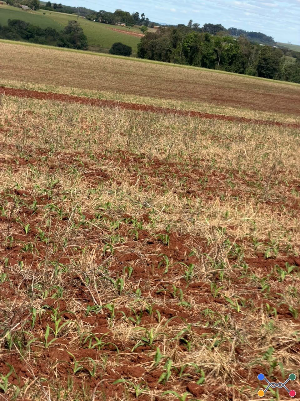 ÁREA RURAL C/ 3 HAC - SANTO ÂNGELO / RS