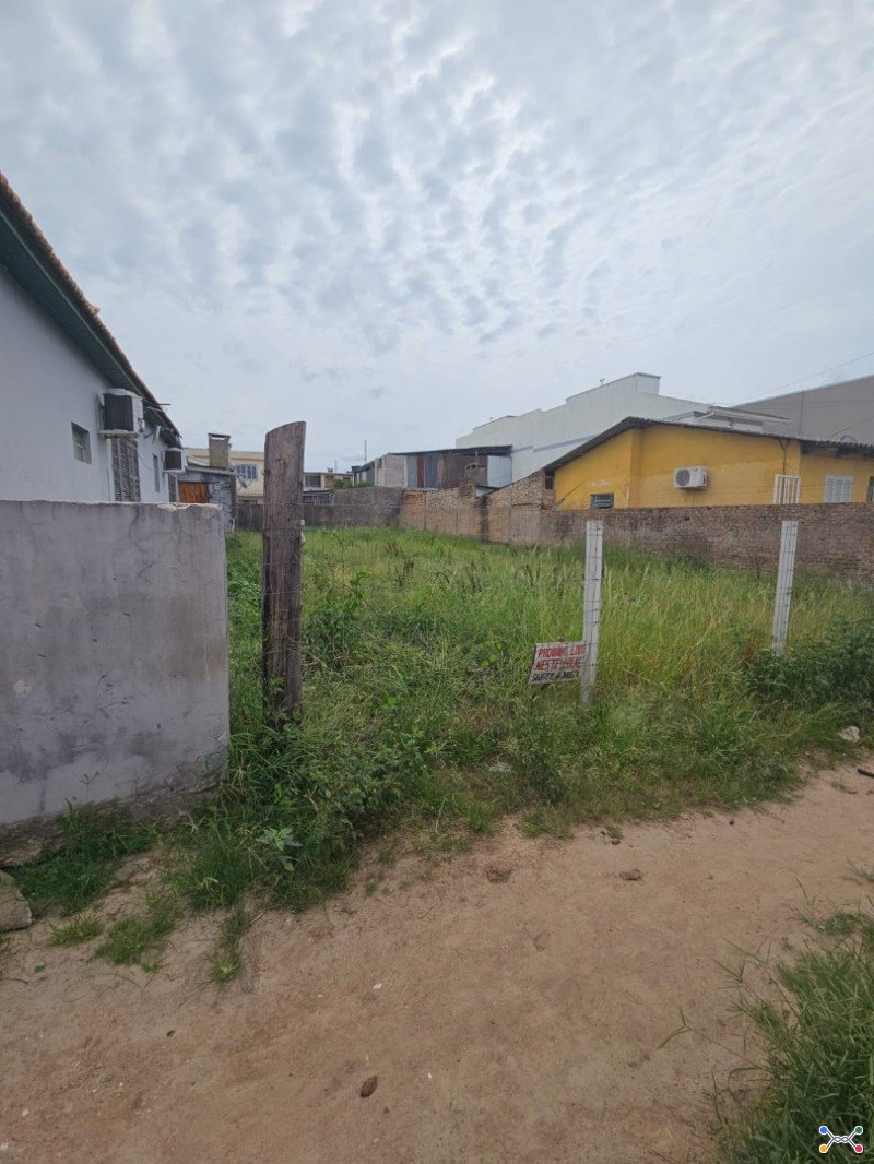 Lote 001