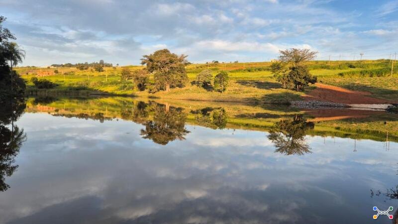 Lote 003