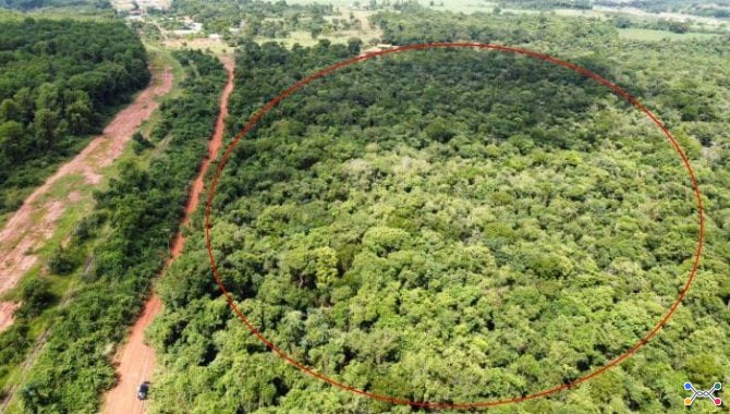 Parte Ideal sobre Imóvel Rural com 9 ha (Sítio Nossa Senhora Aparecida) - Assis - SP