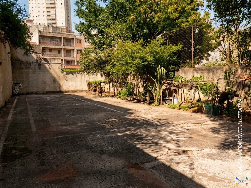 Lote 001