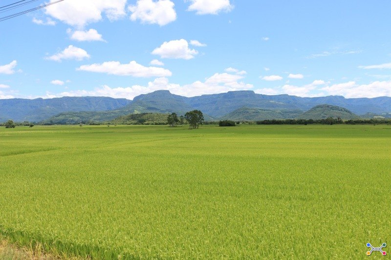 Lote 003