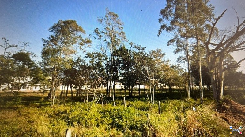 Lote 001