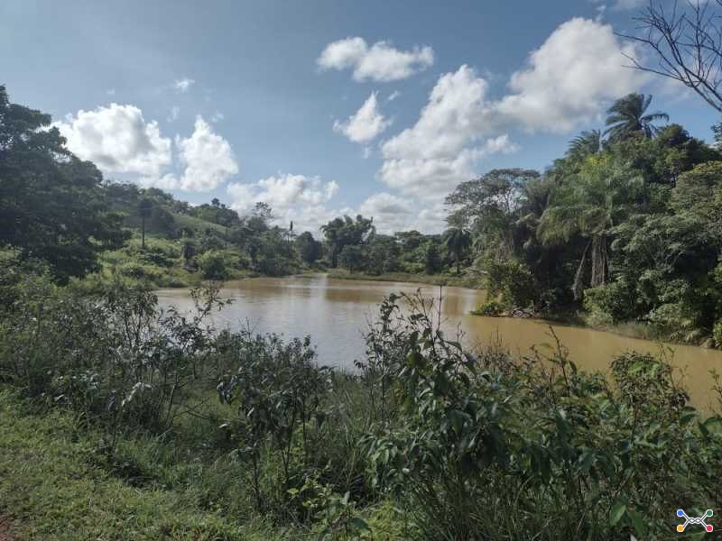 Lote 001