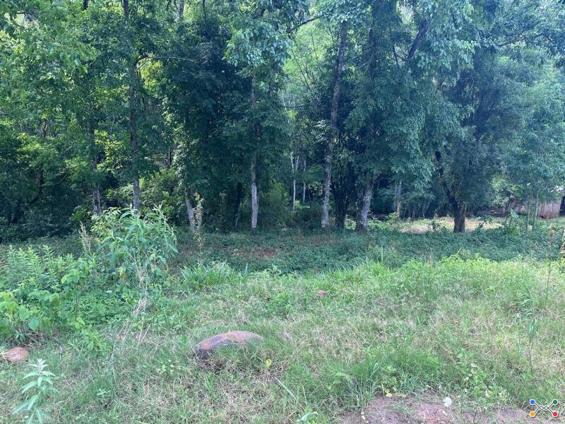Lote 001