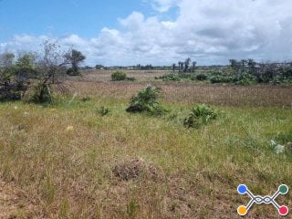 Terreno 450 m² (Lt. 01 - Qd. 61) - Vila Rica do Abais - Itaporanga D'Ajuda - SE