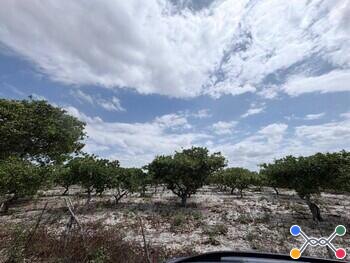 Lote DESOCUPADO em Tiririca, Pacajus, CE