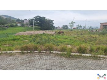 Terreno - Tubarão / SC - Santa Luzia Rua Felipe Manoel Teixeira, s/n