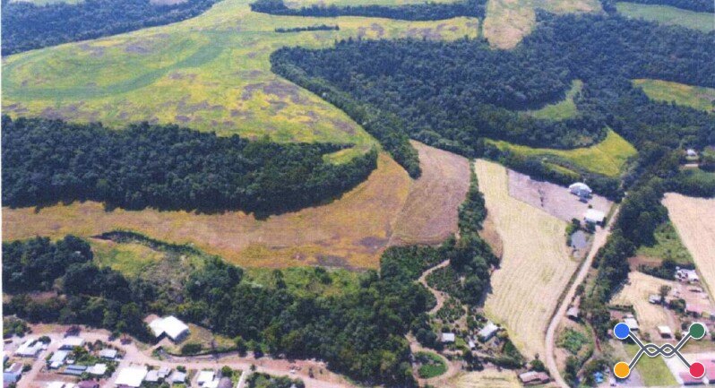 Imóvel rural consistente em parte do lote rural nº 48, da linha quatro, primeira secção rio do peixe, com área de 100.000,00m², sem benfeitorias, em carlos gomes/rs