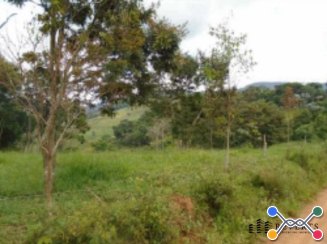Fazenda - várzea santo antônio, bias fortes/mg